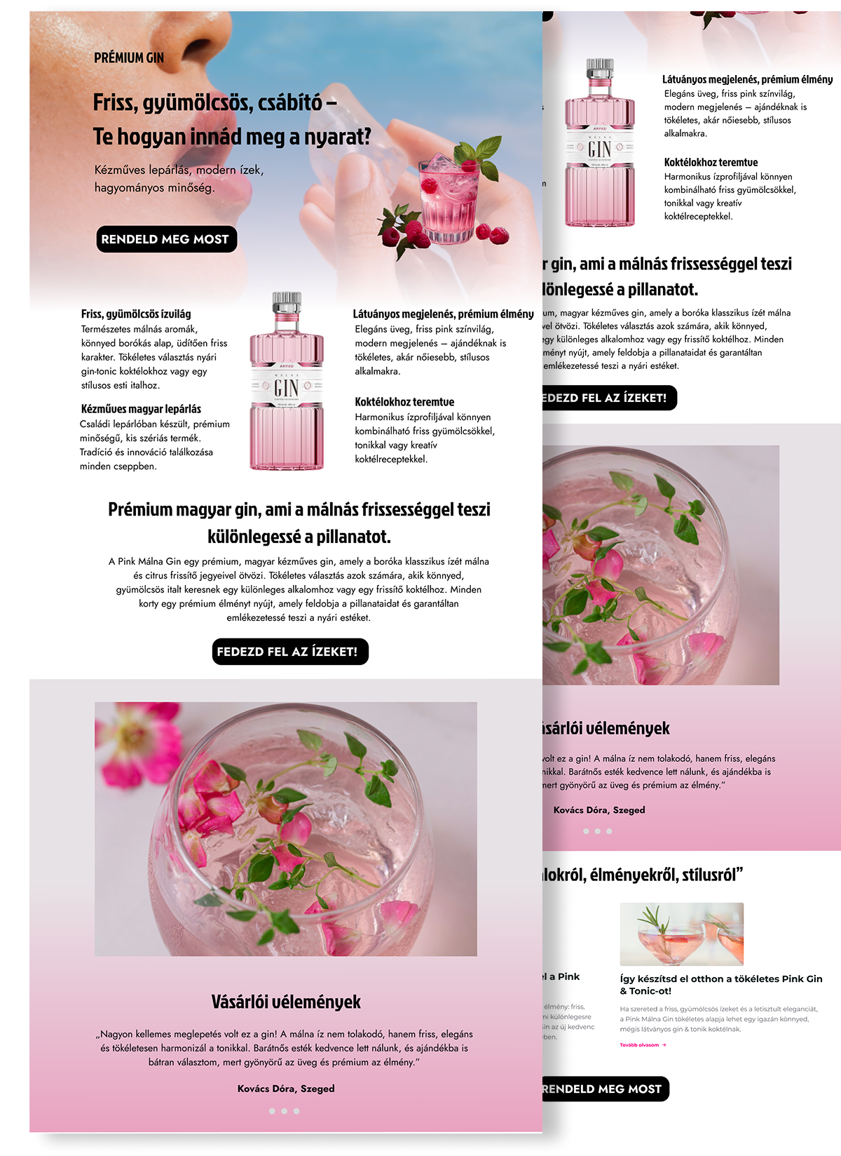 Landing page terv