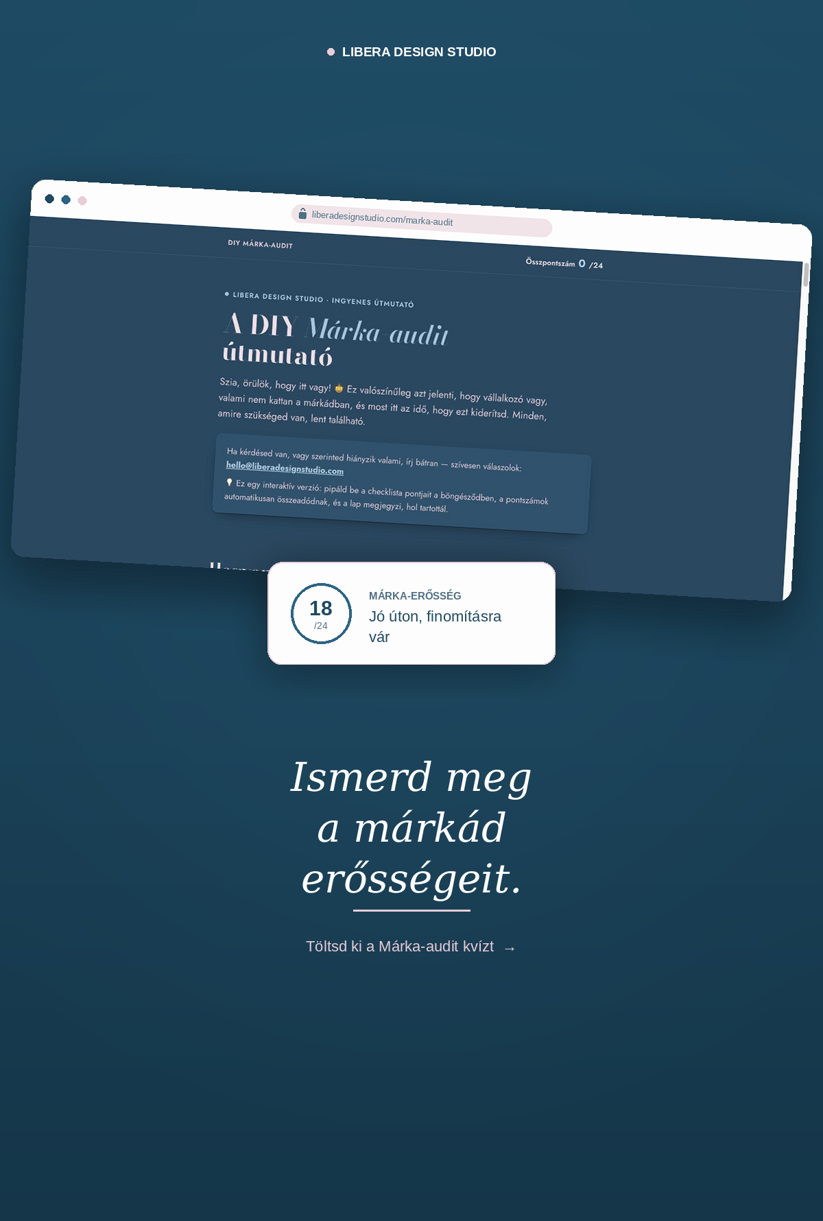 Márka audit